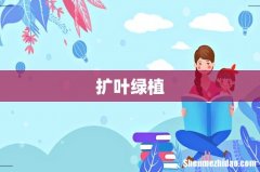 扩叶绿植