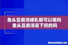 鱼头豆腐汤哺乳期可以喝吗 鱼头豆腐汤是下奶的吗