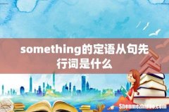 something的定语从句先行词是什么