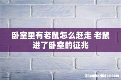 卧室里有老鼠怎么赶走 老鼠进了卧室的征兆