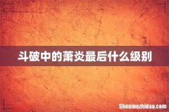 斗破中的萧炎最后什么级别