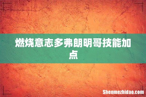 燃烧意志多弗朗明哥技能加点