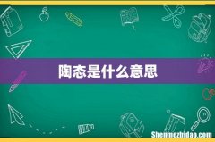 陶态是什么意思