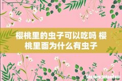 樱桃里的虫子可以吃吗 樱桃里面为什么有虫子