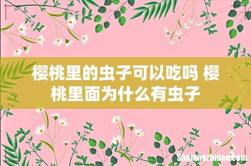 樱桃里的虫子可以吃吗 樱桃里面为什么有虫子