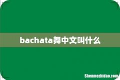 bachata舞中文叫什么
