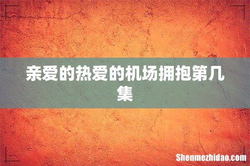 亲爱的热爱的机场拥抱第几集