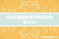 海贼王燃烧意志平民最强阵容2022