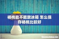 杨桃能不能放冰箱 怎么保存杨桃比较好