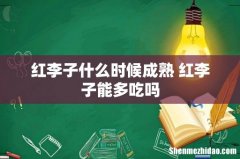 红李子什么时候成熟 红李子能多吃吗