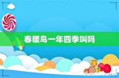 春暖鸟一年四季叫吗