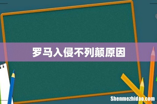 罗马入侵不列颠原因