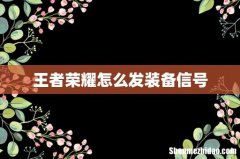 王者荣耀怎么发装备信号