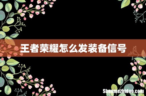 王者荣耀怎么发装备信号