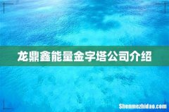 龙鼎鑫能量金字塔公司介绍