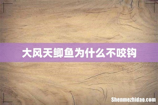 大风天鲫鱼为什么不咬钩