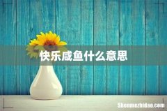 快乐咸鱼什么意思