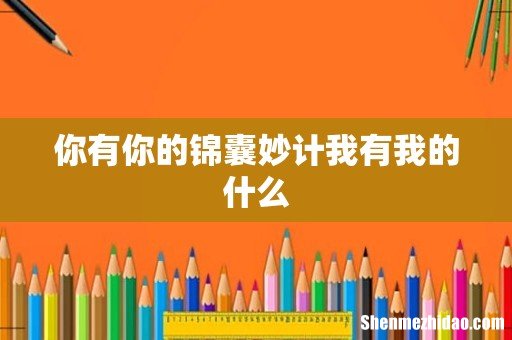你有你的锦囊妙计我有我的什么