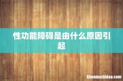 性功能障碍是由什么原因引起