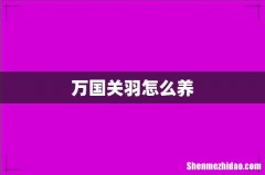 万国关羽怎么养