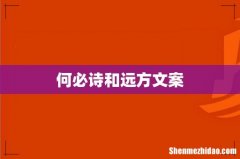 何必诗和远方文案