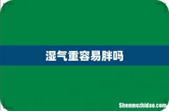 湿气重容易胖吗