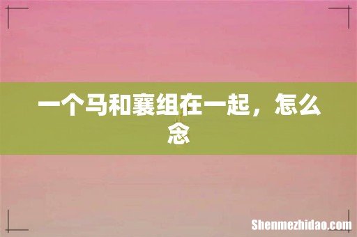 一个马和襄组在一起,怎么念