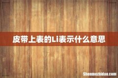 皮带上表的Li表示什么意思