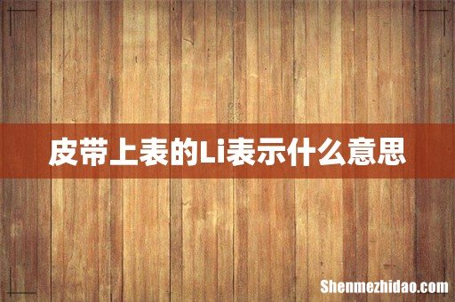 皮带上表的Li表示什么意思