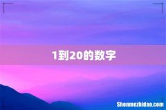 1到20的数字