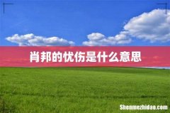 肖邦的忧伤是什么意思