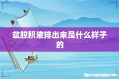 盆腔积液排出来是什么样子的
