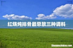 红烧炖排骨最忌放三种调料