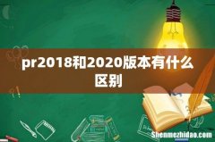 pr2018和2020版本有什么区别