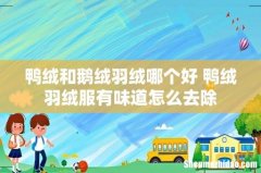 鸭绒和鹅绒羽绒哪个好 鸭绒羽绒服有味道怎么去除