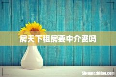 房天下租房要中介费吗