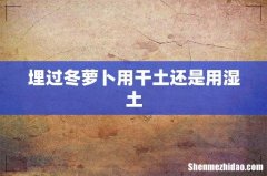埋过冬萝卜用干土还是用湿土