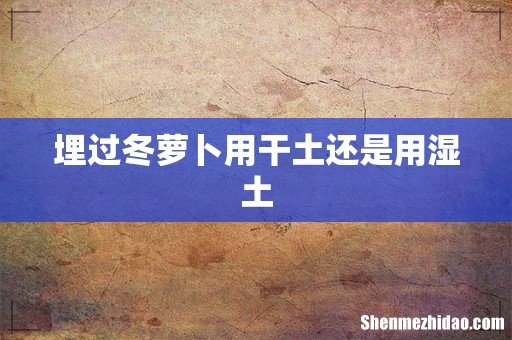 埋过冬萝卜用干土还是用湿土