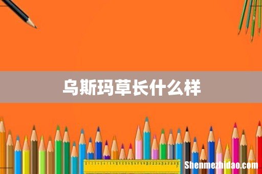 乌斯玛草长什么样