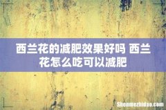 西兰花的减肥效果好吗 西兰花怎么吃可以减肥