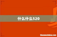 什么什么520