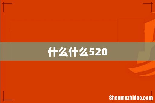 什么什么520