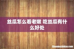 丝瓜怎么看老嫩 吃丝瓜有什么好处