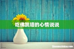 吃佛跳墙的心情说说