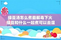 绿豆汤怎么煮最解毒下火 绿豆和什么一起煮可以去湿气