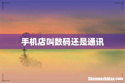 手机店叫数码还是通讯
