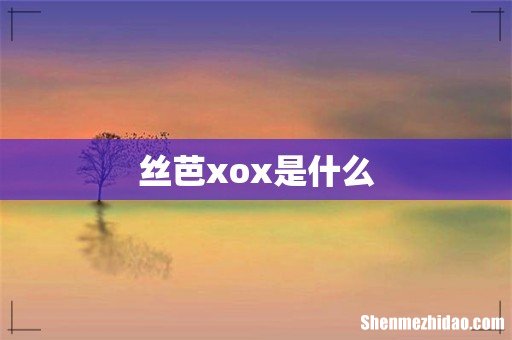 丝芭xox是什么