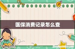 医保消费记录怎么查
