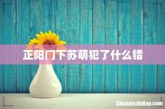 正阳门下苏萌犯了什么错