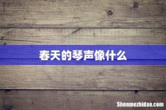 春天的琴声像什么